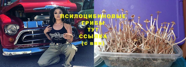 шишки Новочеркасск