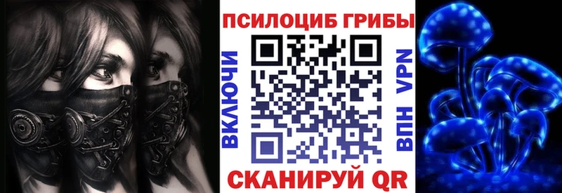 это Telegram  Абаза  Псилоцибиновые грибы Psilocybe  kraken зеркало 